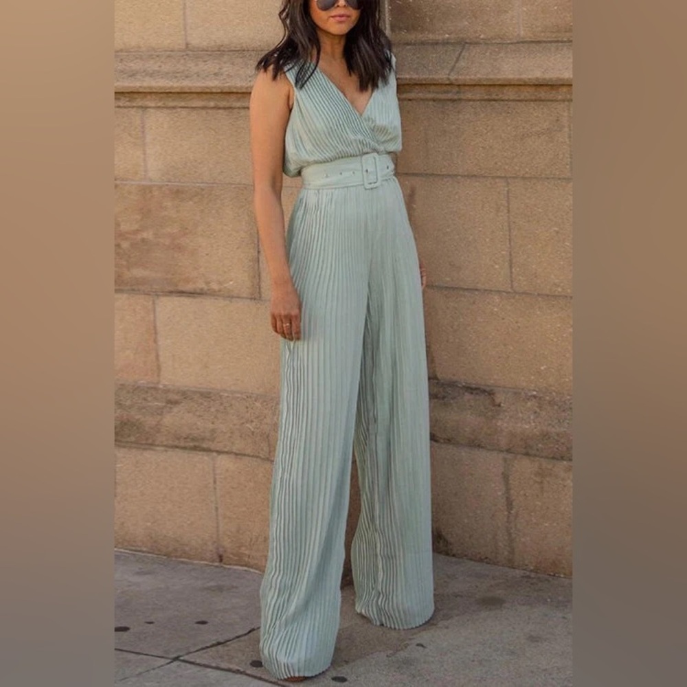 VICI- light sage green pleated jumpsuit- medium- worn once
